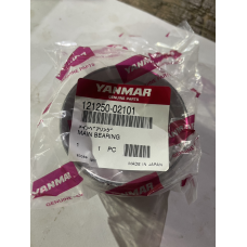 Вкладиші корінь Yanmar YM2000 - 2TR20 -  STD - 121250-02101